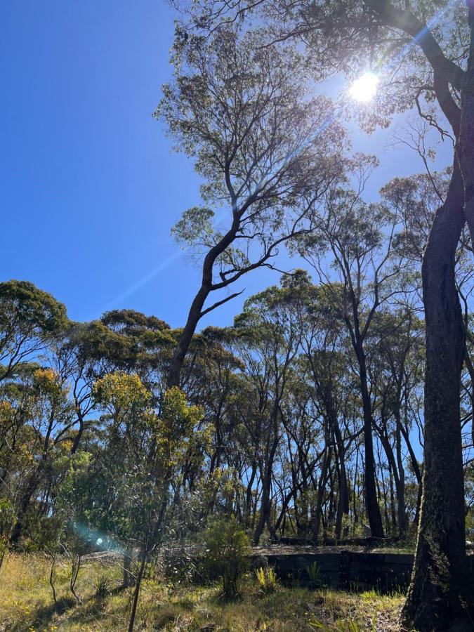 Katoomba Hideaway - Free Wifi, Netflix, Disney Plus 외부 사진
